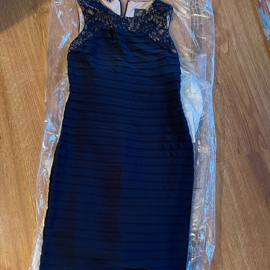 Adrianna Papell Gorgeous Navy Blue Shutter Pleated Sheath Dress
